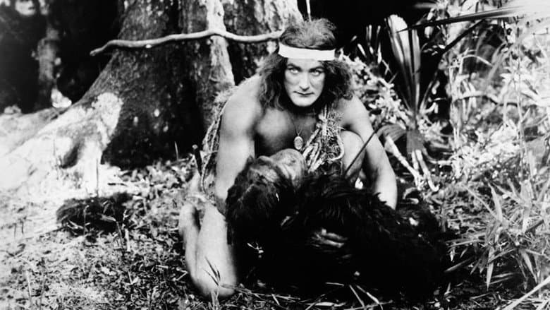 Backdrop from Tarzan of the Apes