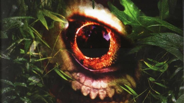 Backdrop from The Curse of the Komodo