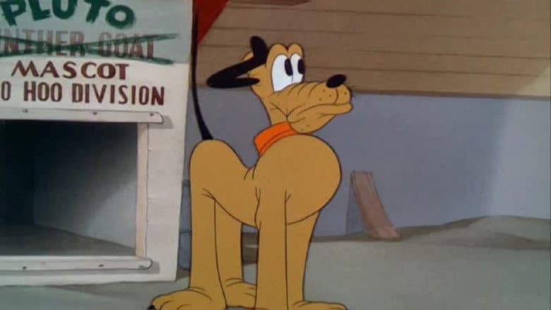 Backdrop from The Army Mascot