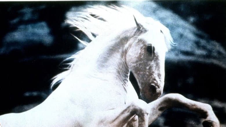 Backdrop from Silver Stallion