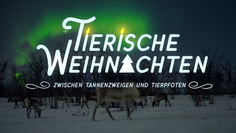 Backdrop from Tierische Weihnachten - Zwischen Tannenzweigen und Tierpfoten
