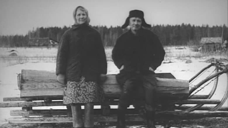 Backdrop from Portrait