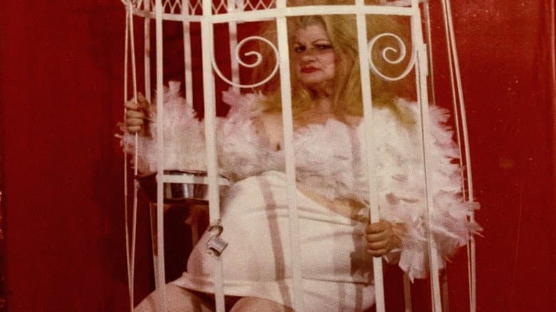 Backdrop from Love Letter to Edie