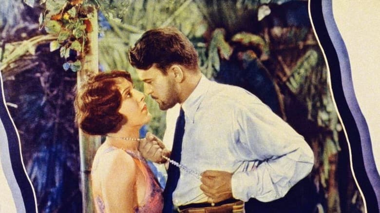 Backdrop from Tropical Nights