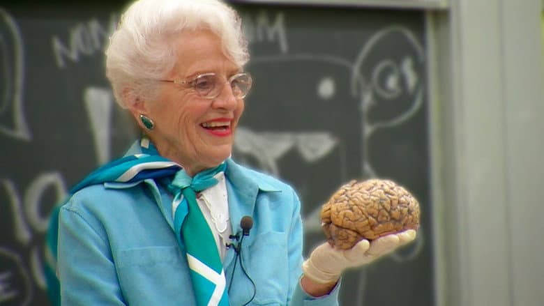 Backdrop from My Love Affair with the Brain
