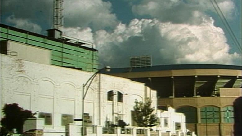 Backdrop from The Wrecking of Old Comiskey Park
