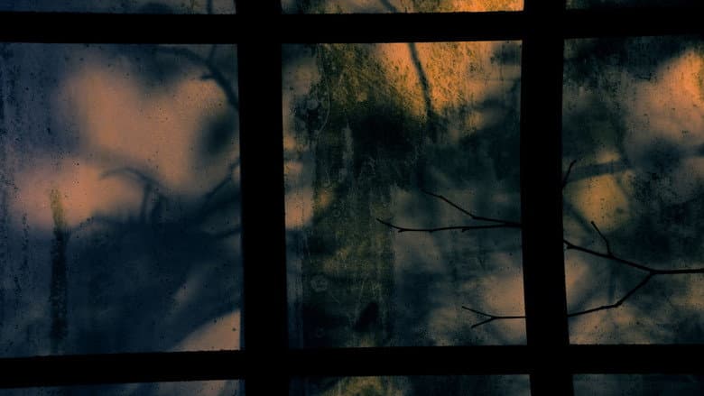 Backdrop from Twilight