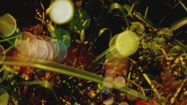 Backdrop from Words of Mercury