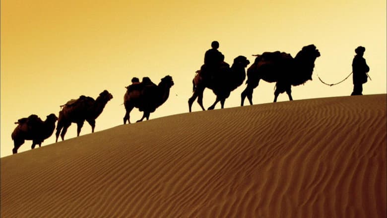 Backdrop from In the Footsteps of Marco Polo