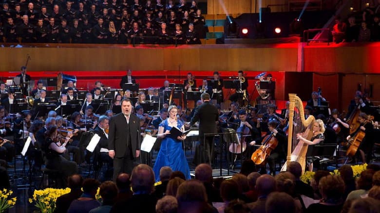 Backdrop from St David's Day Celebration with Bryn Terfel