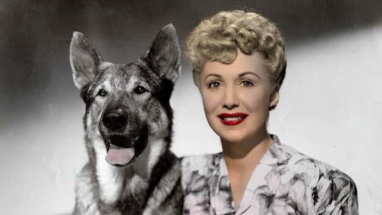 Backdrop from The Return of Rin Tin Tin