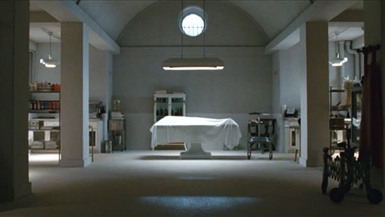 Backdrop from After-Life
