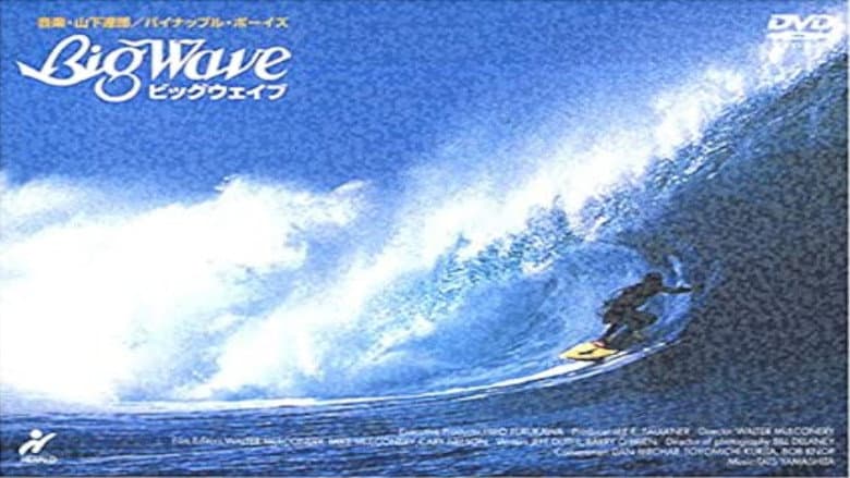 Backdrop from Big Wave