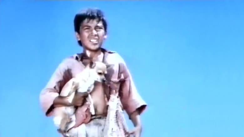 Backdrop from Pablo and the Dancing Chihuahua