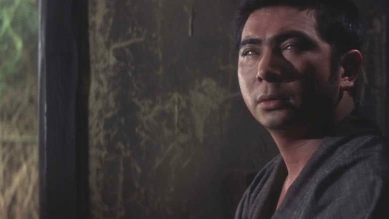 Backdrop from New Tale of Zatoichi