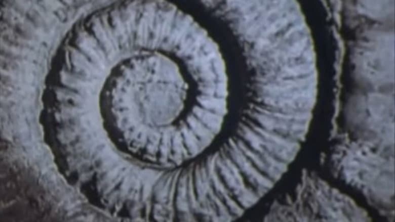 Backdrop from Vernadsky's Law