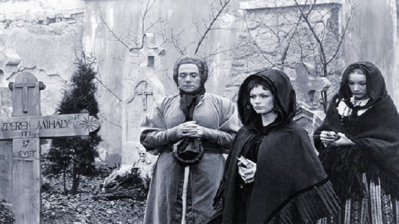 Backdrop from The Phantom on Horseback