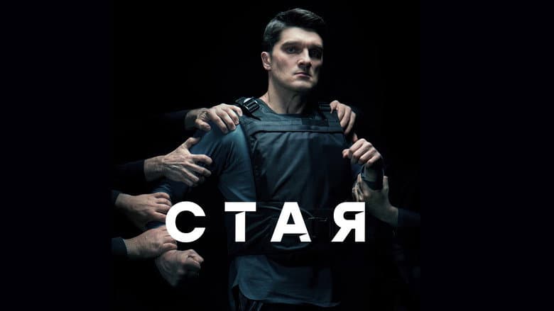 Backdrop from Стая