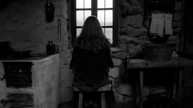 Backdrop from The Turin Horse