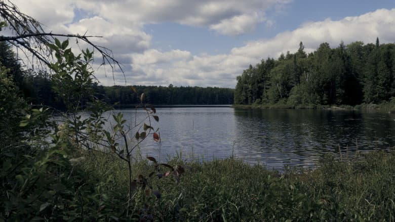 Backdrop from Finding Limberlost