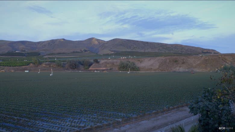 Backdrop from Field Song