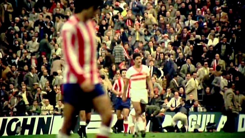 Backdrop from ¡Al fútbol!