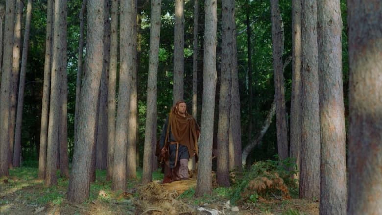 Backdrop from Vikings: Journey to New Worlds