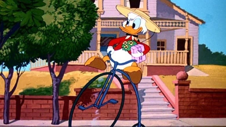 Backdrop from Crazy Over Daisy
