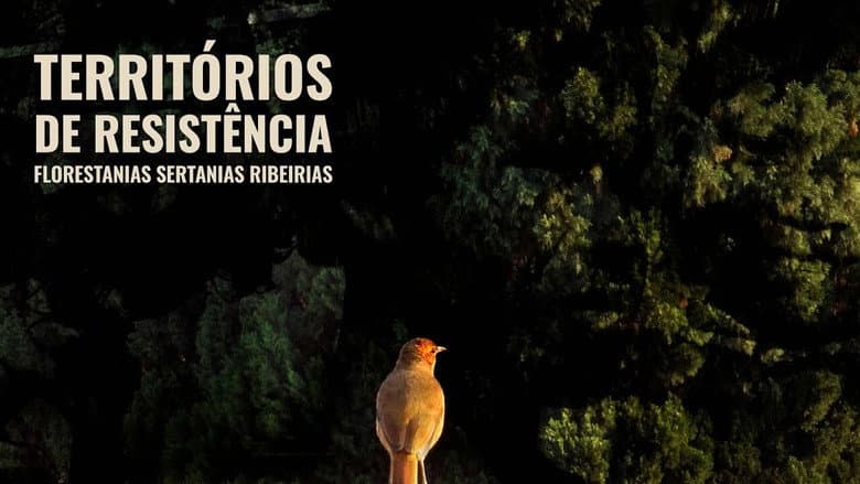 Backdrop from Territórios de Resistência - Florestanias, Sertanias, Ribeirias