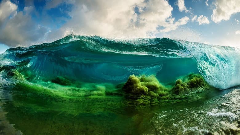Backdrop from Shorebreak: The Clark Little Story