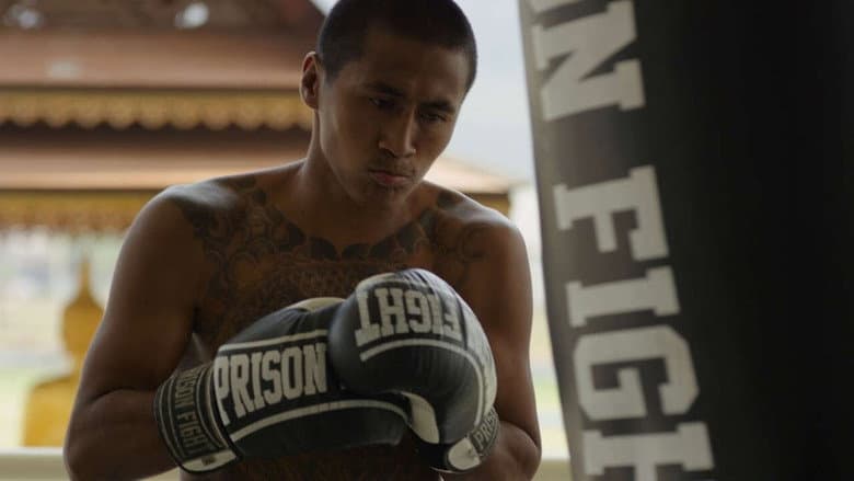 Backdrop from Prison Fighters: Five Rounds to Freedom