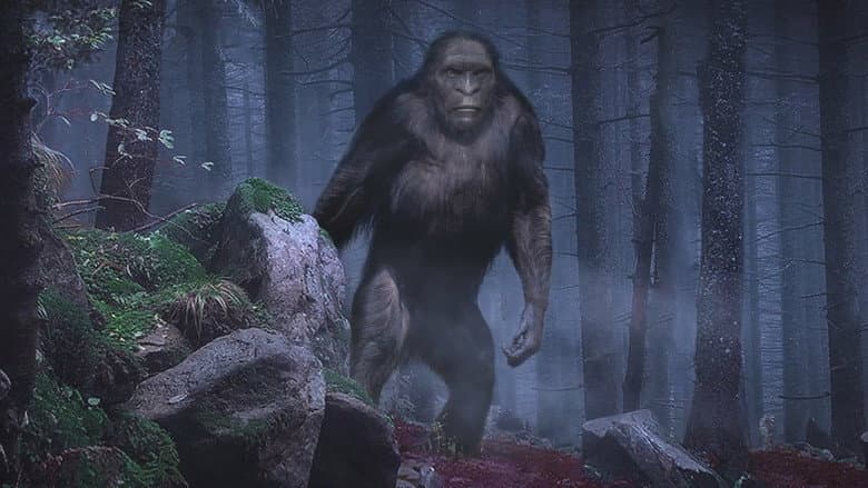 Кадр із фільму «On the Trail of Bigfoot: The Discovery»