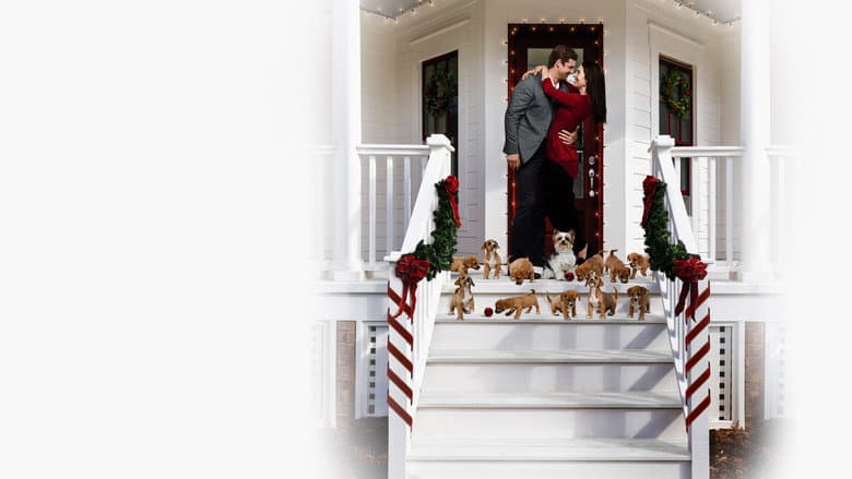 Backdrop from 12 Pups of Christmas