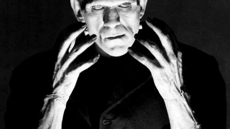 Backdrop from The Strange Life of Dr. Frankenstein