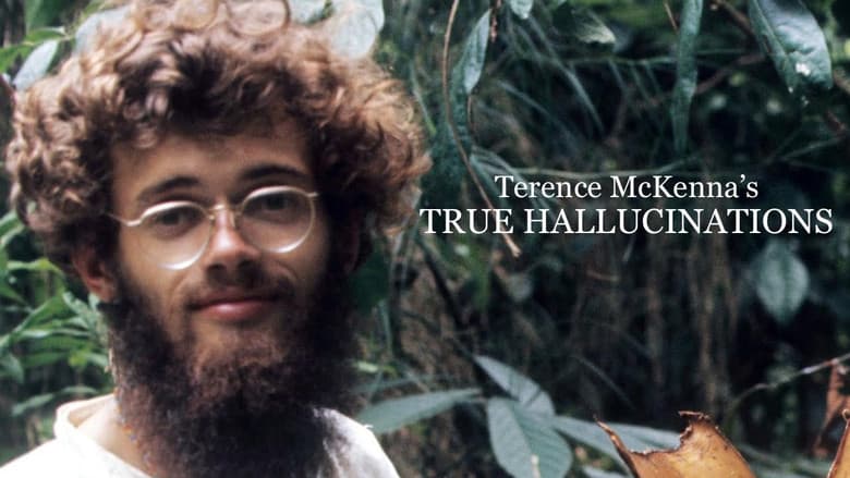 Backdrop from Terence McKenna's True Hallucinations