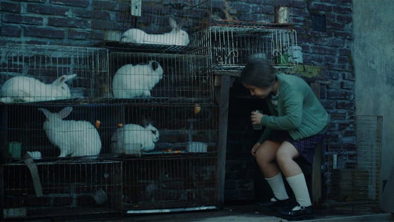 Backdrop from The Rabbits' House