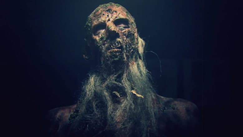 Backdrop from Zombinladen: The Axis of Evil Dead