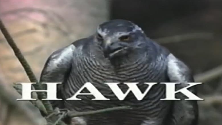 Backdrop from Predators of the Wild: Hawk