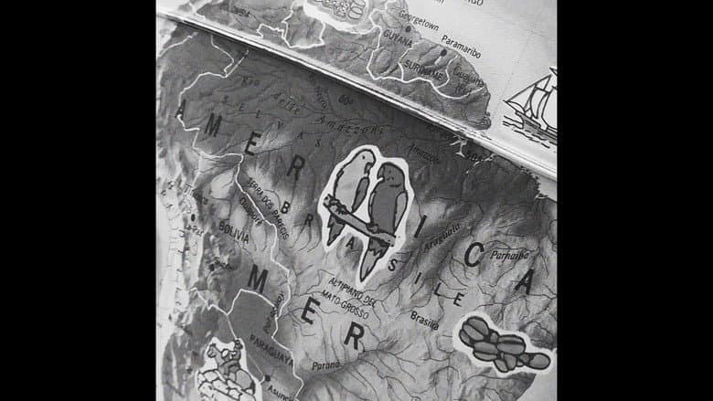 Backdrop from 70 days