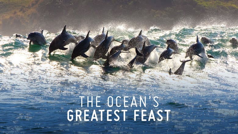Backdrop from The Ocean’s Greatest Feast