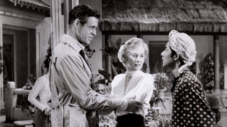 Backdrop from Escape to Burma