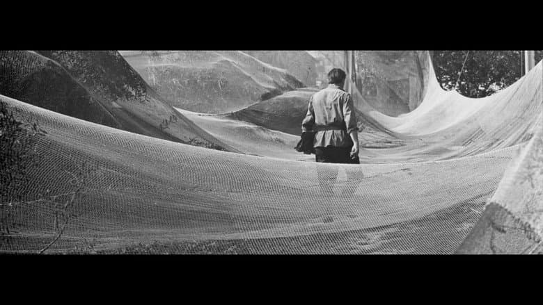 Кадр із фільму «Червень, початок літа»