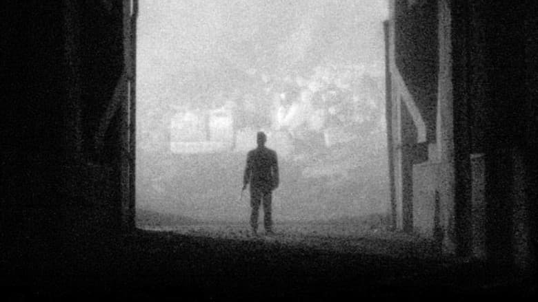 Backdrop from Paths in the Night