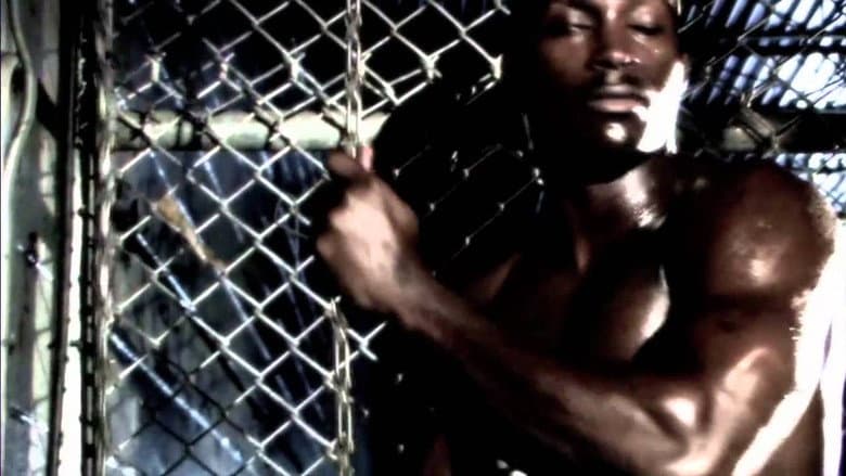 Backdrop from Vale Tudo Project