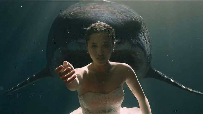 Backdrop from Escape of Shark