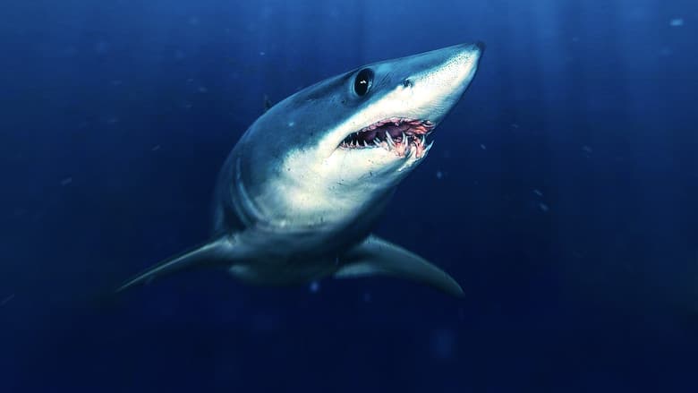 Backdrop from Sharks That Eat Everything