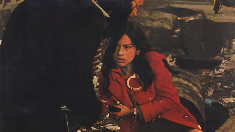 Backdrop from Zero Woman: Red Handcuffs