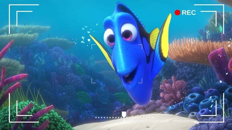 Backdrop from Dory's Reef Cam
