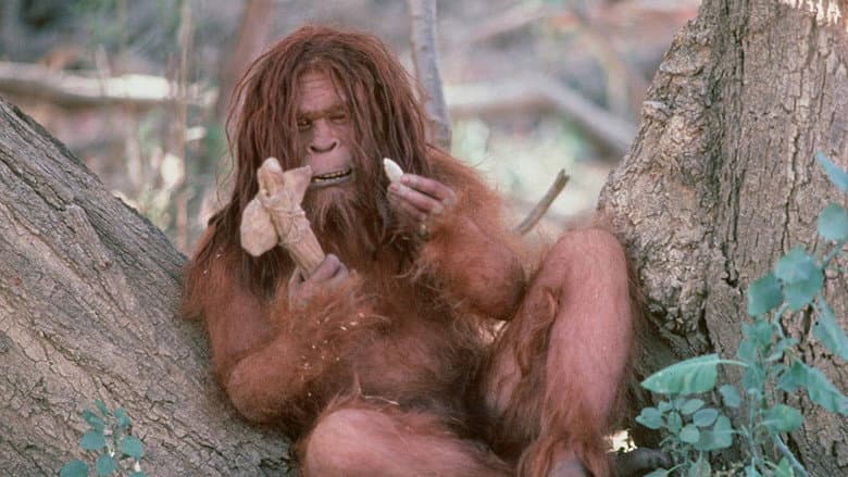 Backdrop from Missing Link
