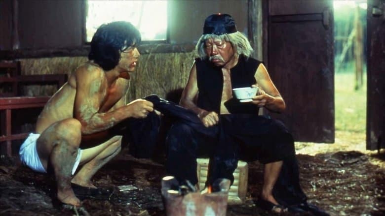 Backdrop from Drunken Master